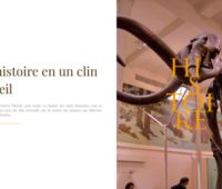 https://www.histoire-et-actualite.fr